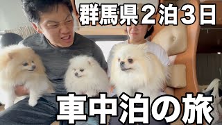 【群馬県を愛犬と観光するならここ】愛犬3匹と群馬県にある数々の観光地を巡る旅