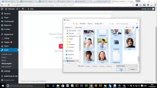 Cherry framework 4.0 install theme