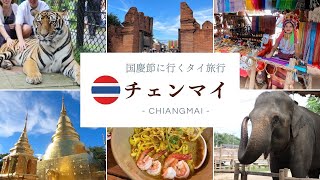 【タイvlog🇹🇭】別名 北方のバラ チェンマイへ✈️  首長族｜ゾウカフェ｜タイガーキングダム｜ナイトマーケット｜夜に楽しめるショーも！一度行くと必ず大好きになる街大認定🫶🏻💕