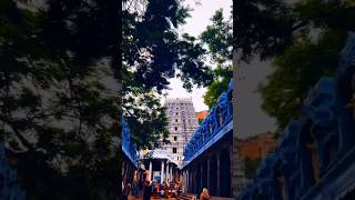 #tirupati #tirumala #tirumaladarshnamtickets #tirumala #god #venkateswara #godofwar #balaji