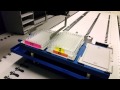 Tecan Robot - Tower of Hanoi with 3 x 96 well plates