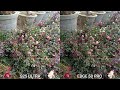 samsung galaxy s25 ultra vs motorola edge 50 pro camera test comparison