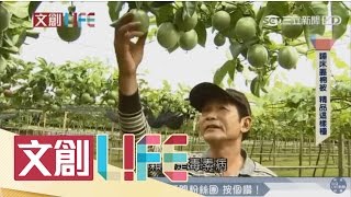 利用app種田　成為「台灣新富農」｜文創LIFE｜三立新聞台