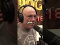 joe rogan reacts to khabib kicked from plane