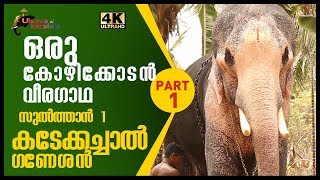 ഇവൻ തെച്ചിക്കോട്ടുകാവ് രാമചന്ദ്രൻ തന്നെ|Junior ThechikottuKavu Ramachandran|KadakachalGaneshan|EPI39