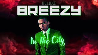 Chris Brown - In The City (slowed + reverb) [Visualizer]