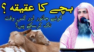 Bachy Ka Aqeqa Kerna? | Naam Rekhna? | Latest Urdu Bayan | Qari Sohaib Ahmed Meer Muhammadi