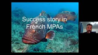 Protecting the Dusky Grouper – A French case study