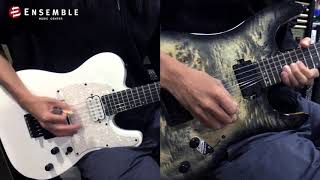 【揚聲堡開箱系列】2019年最新款 Schecter 電吉他彈奏展示