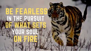 WAKE UP AND BE FEARLESS - New Motivational Video Compilation - 30 Minute Morning Motivation