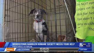 Morristown Hamblen Humane Society needs your help