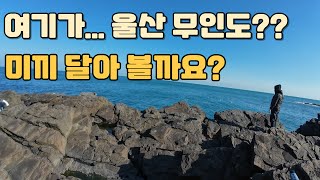 여기가 울산의 무인도??  EP.3 #울산#낚시#볼락#아기단타