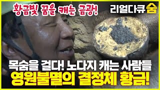 지하 72cm의 비밀! 노다지 캐는 극한의 현장! | 리얼다큐 숨