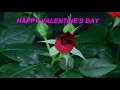 happy valentine s day