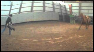 Tiedown Roping: Joe Scully vs. ReRun the Roping Calf