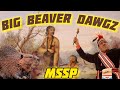 MSSP History Hijinks #1 - Big Beaver Dawgz