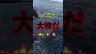 【石垣島・釣り】メーター超えの全釣り人憧れの魚GET!   私は沖縄で人生最大の巨大な魚を釣りました！