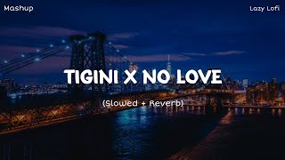 Tigini x No Love Slowed + Reverb || Masup || ☊  +  ♬  =  ☮