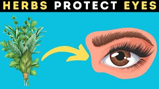 Herbs That Protect Eyes and Repair Vision -Herbs  Your Vision's Best Friends