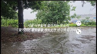 시골길에 쏟아지는 빗소리를 들으며 단잠에 드세요