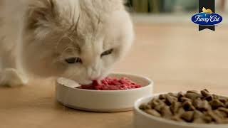 Feeding Your Fussy Cat: Fresh Steak Mince with Crunchy Kibble