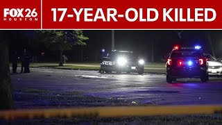 Teen killed in Houston park shooting