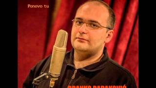 BRANKO RADAKOVIĆ - DEO SISTEMA (2015)