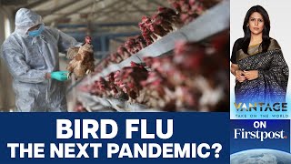Bird Flu Outbreak "100 Times Worse" Than Covid Pandemic says Experts | Vantage with Palki Sharma