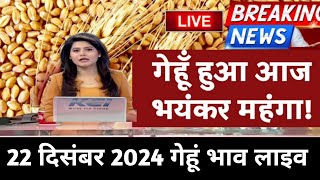 22 दिसंबर गेहूँ का भाव गेहूँ के भाव में तूफानी तेजी देखें भाव, Gehu ka Bhav,Wheat rate today