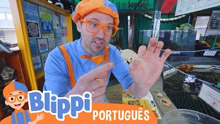 Conhecendo Animais Marinhos com Blippi | Vídeos Educativos para Crianças | As Aventuras de Blippi