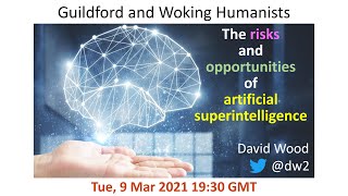 The Risks and Opportunities of Artificial Superintelligence