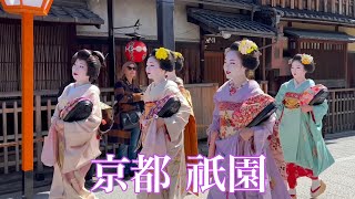 【4K】 2023年3月20日 京都祇園の一力亭に急ぐ芸舞妓さん Maiko and Geisha in Gion,Kyoto 「大石忌」