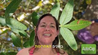 קבלו קורס ליקוט דיגיטלי במתנה (ההזמנה בתוקף עד 2.11)