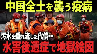 【海外の反応】なぜ水害後遺症が蔓延してしまったのか？中国崩壊まのカウントダウン　習近平　#488