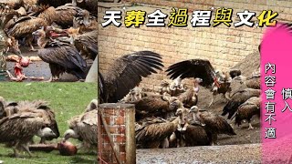 天葬 〔一個古老的儀式〕                                            Sky Burial [an ancient ritual]