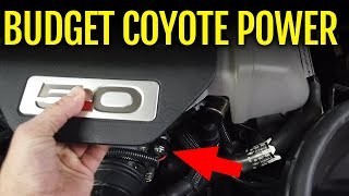 Budget Coyote Power! Nitrous on a 2016 Mustang GT