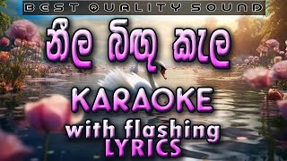 Neela Bigu Kela Karaoke with Lyrics (Without Voice)