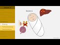 vitamin k functions mechanism of action deficiency etc