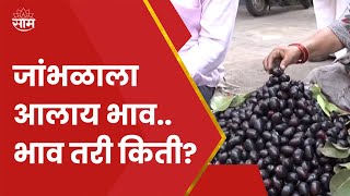 Jamun Fruit | Jambhul Fruit Price Hike | जांभूळ पिकले, भाव किती?