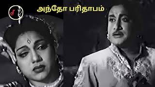 Antho Parithaabam | அந்தோ பரிதாபம் | G.RAMANATHAN | C.S.JAYARAMAN