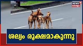 Stray Dog Attack | തെരുവുനായ കുറുകെ ചാടി സംസ്ഥാനത്ത് നാല് അപകടം; അഞ്ച് പേർക്ക് പരിക്ക് | Kerala News