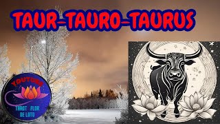 TAURUS♉NEW CHANGES IN YOUR LIFE🔮🌺WORK💼MONEY💲LOVE❤️