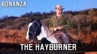 Bonanza - The Hayburner | Episode 121 | American Western | Cowboy | Wild West | English