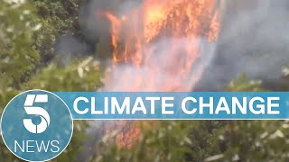 Climate Change: Wildfires and rising temperatures continue to blight Europe | 5 News