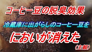 冷蔵庫の脱臭、コーヒー豆で冷蔵庫のにおいが消えた（体験）？たぶん