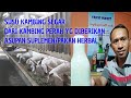 JUAL SUSU KAMBING SEGAR BANDUNG