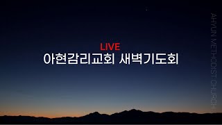 2025년 2월 22일(토) 새벽기도회ㅣ누가복음  6:1 - 11