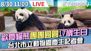 【LIVE】8/30 大貓熊🐼團團圓圓17歲生日線上慶生會🎉｜臺北市立動物園 Taipei Zoo Panda