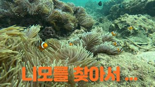 50대 중년부부의 세계여행-태국, 끄라비 (Krabi) 편 (스노클링으로 니모 보기)