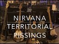 Nirvana Guitar Tone I Territorial Pissings I Shred Shed